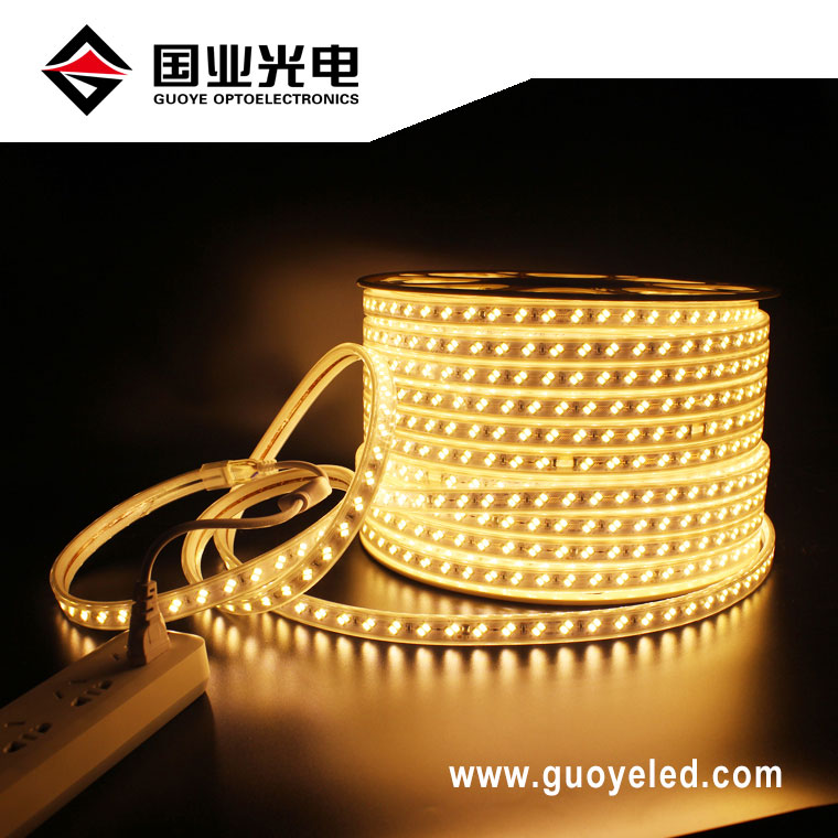 Φωτισμός ταινίας led 110v 220v