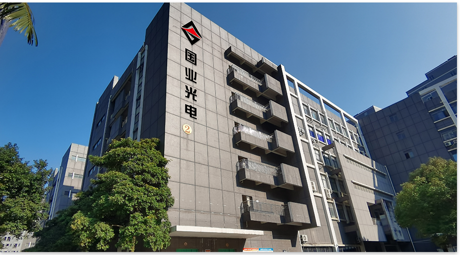 Shenzhen Guoye Optoelectronics 2024 Περίληψη του έτους